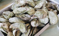 李宗瑞下的是什么药